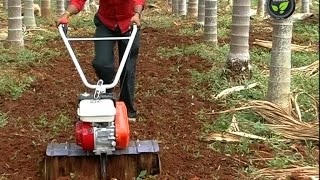 Rotary Tiller or Power Weeder [upl. by Ettegdirb]