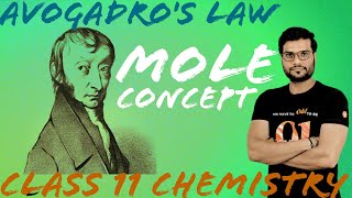 avogadros law  class 11 chemistry arvind sir [upl. by Eimrots]