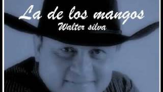 Walter silva  la de los mangos [upl. by Michey272]