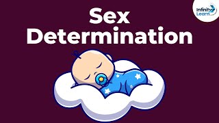 Genetics  Sex Determination  Lesson 19  Dont Memorise [upl. by Ylra467]