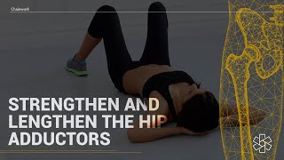 Exercises to STRENGTHEN amp LENGTHEN the Hip Adductors [upl. by Lorre511]