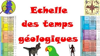 Léchelle des temps géologiques Minute géologique 13 [upl. by Zeitler887]