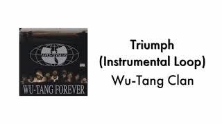 WuTang Clan  Triumph Instrumental Loop [upl. by Akcirret730]