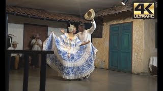 Baile típico de Panamá  EL PUNTO 4K [upl. by Akir]