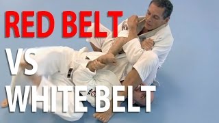 White belt challenges Grandmaster Relson Gracie [upl. by Ronn]