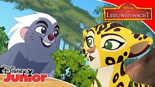 De Leeuwenwacht  Liedje Bevriend voor Altijd  Disney Junior BE [upl. by Gussy]