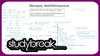 Monopol Wohlfahrtsverlust  Preistheorie [upl. by Aivart]