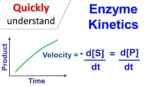 Enzyme kinetics [upl. by Honora]