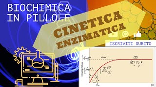 Cinetica enzimatica di Micaelis e Menten [upl. by Stratton]