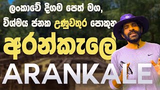 Arankale  අරන්කැලේ  Arankele Forest Monastery [upl. by Otes]