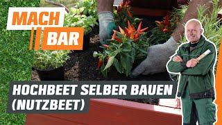 Hochbeet selber bauen Nutzbeet  OBI [upl. by Elleon995]