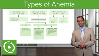 Anemia Microcytic Normocytic amp Macrocytic Type – Hematology  Lecturio [upl. by Onyx]