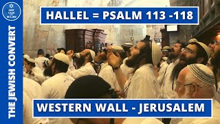 HALLEL at The Western Wall  Psalm 113118  English Subtitles [upl. by Dewain358]