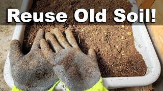 How To Reuse Old Potting Soil  FOUR ways [upl. by Milty]