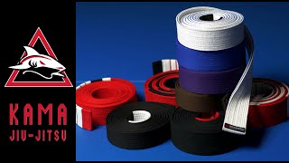 Gracie JiuJitsu Belt Colors Explained Strips Bars and Differences with other BJJ [upl. by Milena]