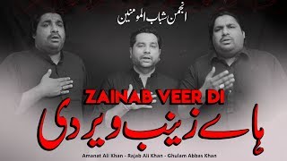 Haye Zainab Veer Di  Sonu Monu Nohay 2020  Nasir Asghar Nohay  ShababulMomineen  BibiZainab Noha [upl. by Hausmann638]