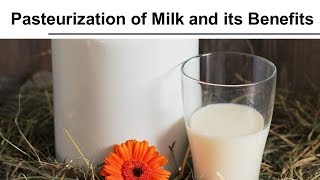 Pasteurization of Milk and its Benefits [upl. by Navada]