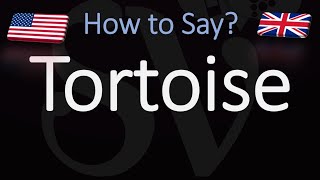 How to Pronounce Tortoise CORRECTLY [upl. by Ellives473]