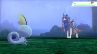 First Zacian Encounter in Pokemon Sword [upl. by Dredi]