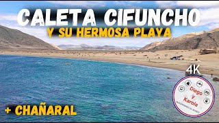 VISTAMOS CALETA CIFUNCHO Y CHAÑARAL  CHILE  4K [upl. by Yrnehnhoj]