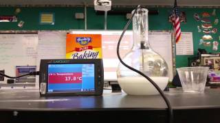 Baking soda amp Citric Acid Endothermic Reaction [upl. by Trebled]