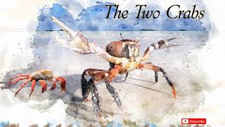 Aesops Fables  The Two Crabs [upl. by Lamek]