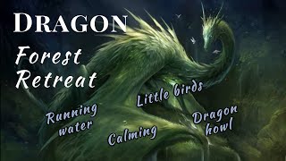 Dragon Forest Retreat  1 hour Relax in a Dragons Land  Soft Music  Fantasy Howls Wind 🌲 [upl. by Macdonald]