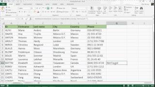 Compare Two Lists Using the VLOOKUP Formula [upl. by Eisteb]