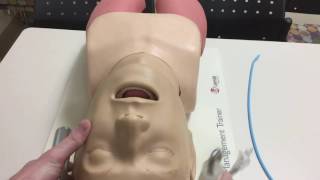 How to Intubate Manual Laryngoscopy [upl. by Deyas437]