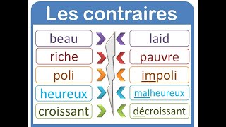 LEXIQUE Les mots de sens contraireLes antonymes [upl. by Kawai]