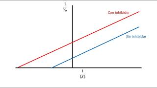 Cinética Enzimática  Inhibición acompetitiva [upl. by Eeluj830]