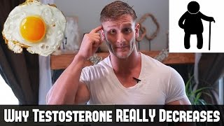 Why Does Testosterone Decrease  The Truth About How to Boost Testosterone Thomas DeLauer [upl. by Torruella745]