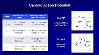 Antiarrhythmics Lesson 1  An Introduction [upl. by Eveleen370]