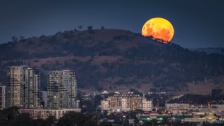 Rising Pink Full Moon Canberra Australia [upl. by Truc]