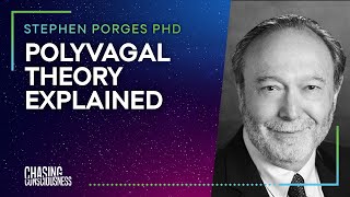 POLYVAGAL THEORY EXPLAINED Stephen Porges PHD 5 [upl. by Jarvis301]