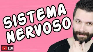 SISTEMA NERVOSO  FISIOLOGIA  Aula  Biologia com Samuel Cunha [upl. by Salta578]