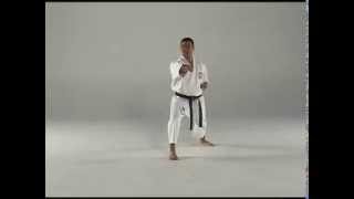 1st Kata  Taigyoku Shodan [upl. by Aleedis692]