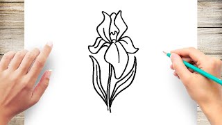 How To Draw Iris Flower Step by Step [upl. by Ramoj]