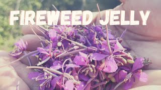 How To Make Fireweed Jelly Delicious and Simple [upl. by Gilberta]