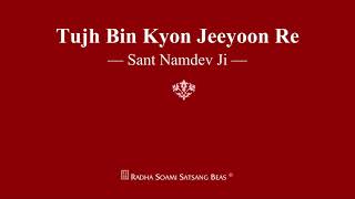 Tujh Bin Kyon Jeeyoon Re  Sant Namdev Ji  RSSB Shabad [upl. by Yelnahs]