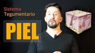 Generalidades de la Piel  Estructura y funciones [upl. by Nnyliak]