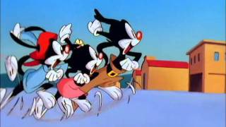 Animaniacs Season 1 Episode 1 [upl. by Anileba]