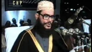 Bangla Waz  Akhirater Alosona  ALLAMA DELWAR HOSSAIN SAYEEDI [upl. by Gemperle]