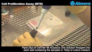 Cell Proliferation Assay MTS [upl. by Haraj793]