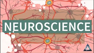 What is Neuroscience [upl. by Akym]