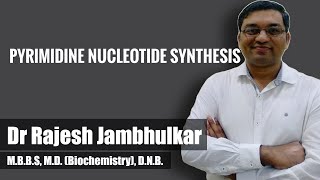 Pyrimidine nucleotide synthesis and degradation [upl. by Crary]