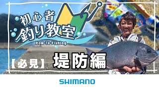 【魚釣りをわかりやすく解説】シマノ初心者釣り教室 ～堤防編～【堤防や防波堤で楽しく魚釣り】 [upl. by Aiouqahs]