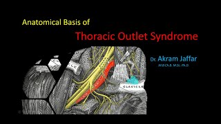 Anatomical Basis of Thoracic Outlet Syndrome [upl. by Joerg]