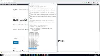 Connect to your wamp server from another pc [upl. by Anirtruc]