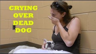 Heartbreaking Moment Woman Crying Over Her Dead Dog [upl. by Poppas]